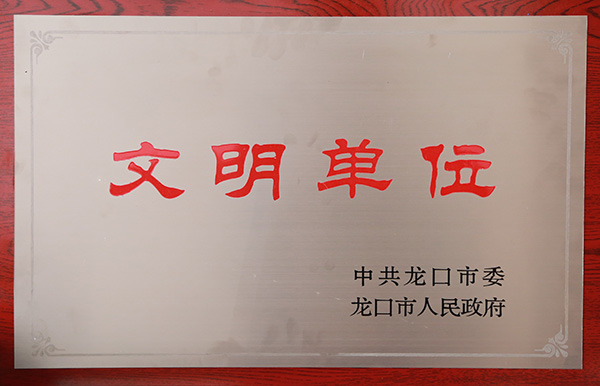 榮譽證書